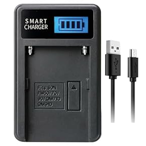 AccsoonSeeMo+バッテリー２個＋充電器セット Amazon | SIXOCTAVE DMW-BLK22 パナソニック 互換 デュアルUSB